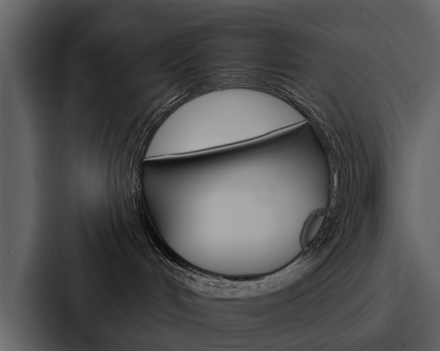X0000088140048200705141040
