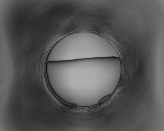 X0000088140049200705141039