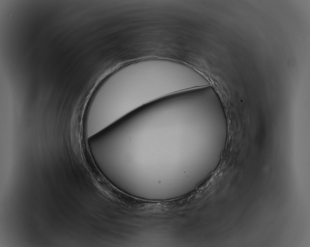 X0000088140050200705141039