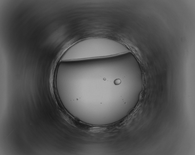 X0000088140051200705141040