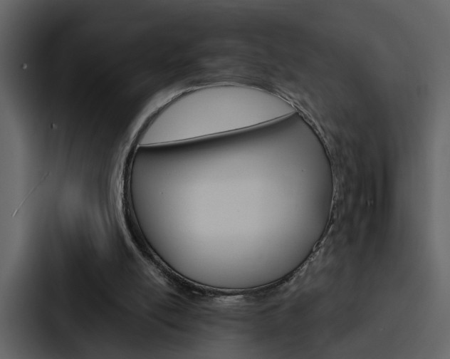 X0000088140054200705141040