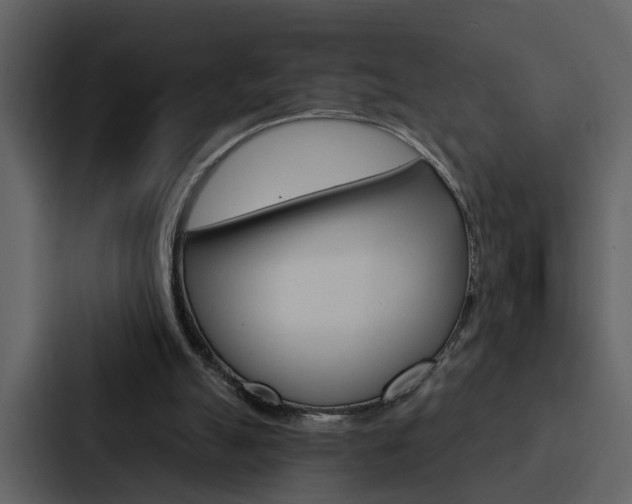 X0000088140055200705141040