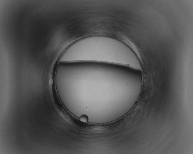 X0000088140059200705141040