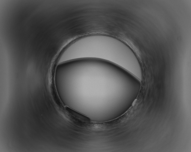 X0000088140060200705141040