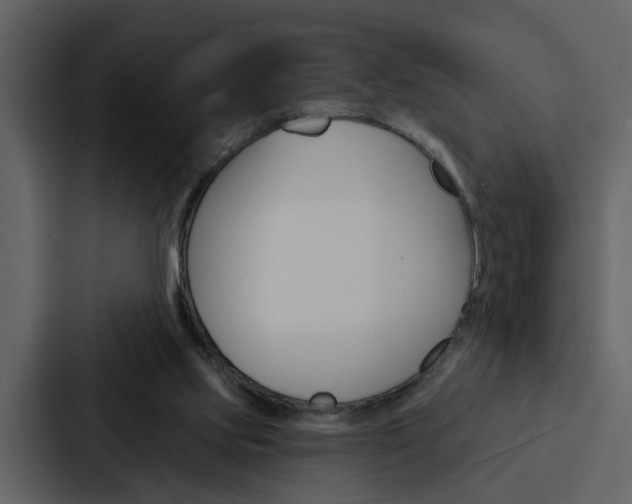 X0000088140061200705141040
