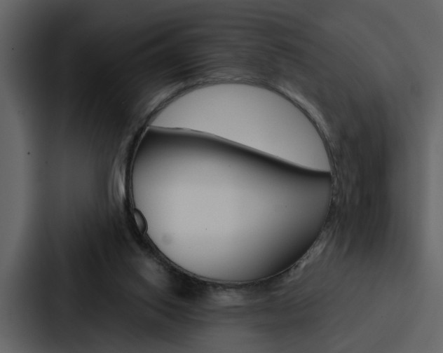 X0000088140062200705141040