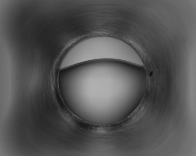 X0000088140064200705141040