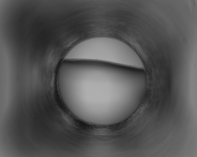 X0000088140066200705141040