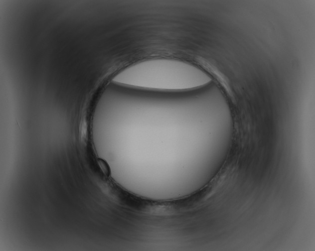 X0000088140067200705141040