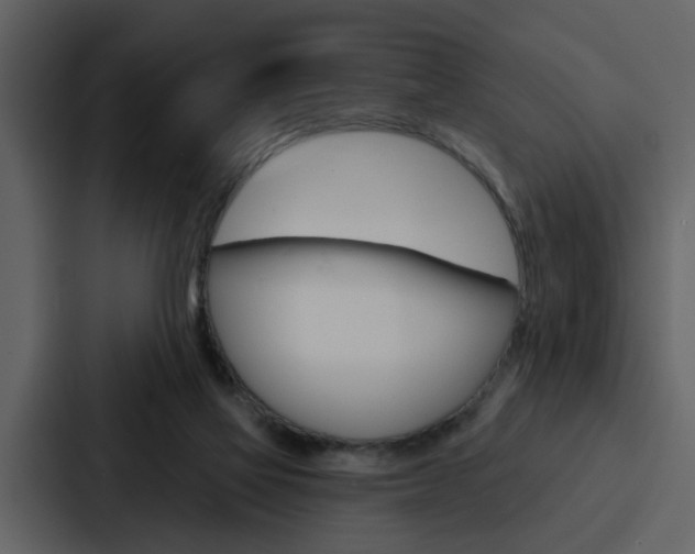 X0000088140069200705141040