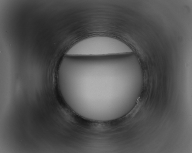 X0000088140074200705141040
