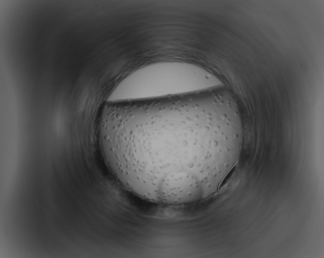 X0000088140078200705141040