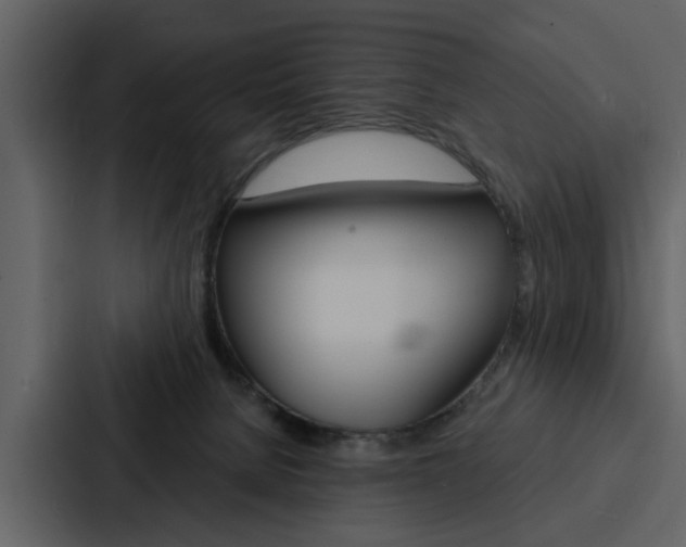 X0000088140080200705141040