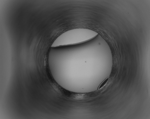 X0000088140090200705141040