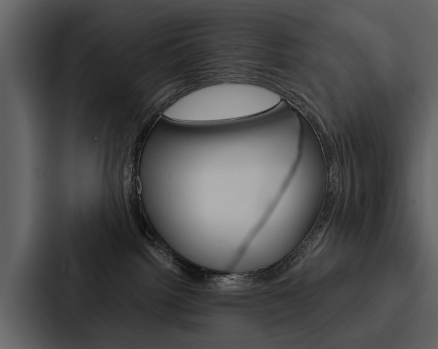 X0000088140092200705141040