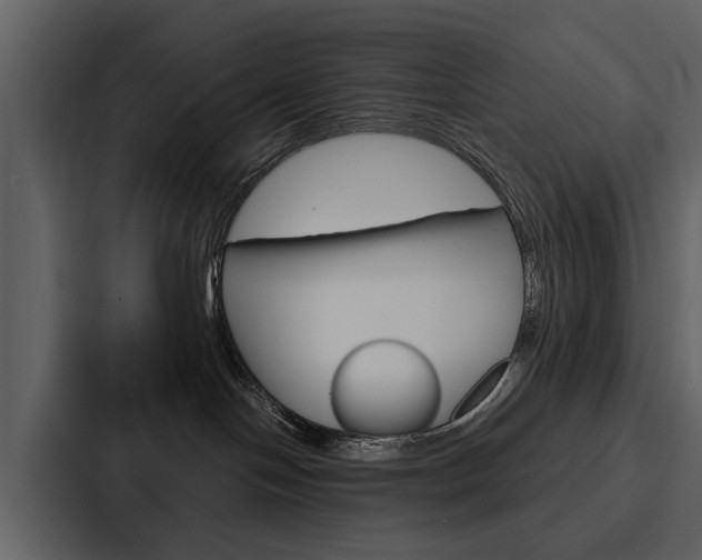 X0000088140094200705141040