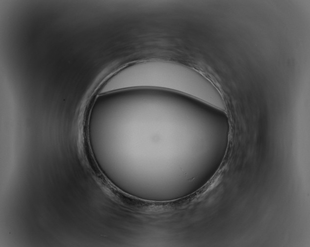 X0000088140101200705141039
