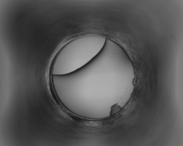 X0000088140102200705141039