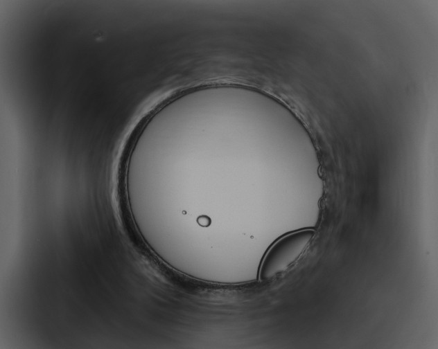 X0000088140104200705141039