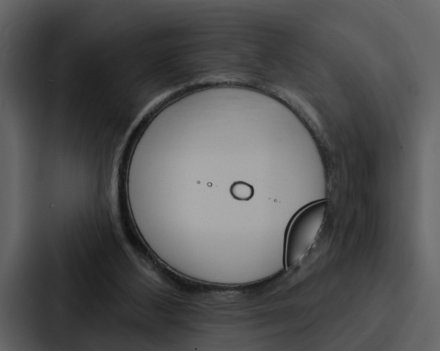 X0000088140108200705141039