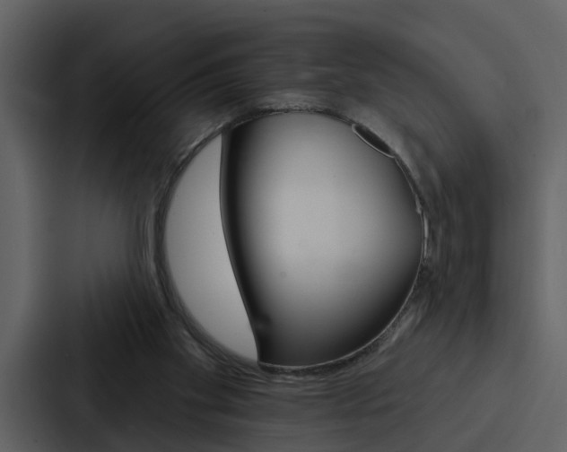 X0000088140109200705141039