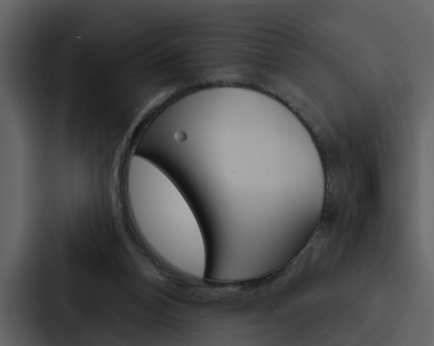 X0000088140112200705141039