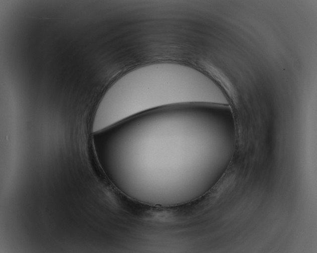 X0000088140113200705141039