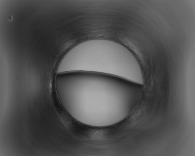 X0000088140115200705141039
