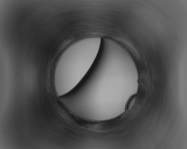 X0000088140116200705141039