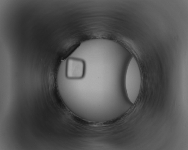 X0000088140121200705141039