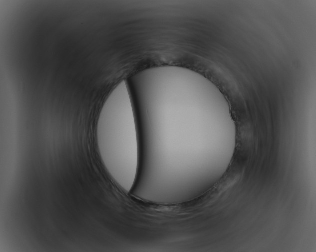 X0000088140129200705141039