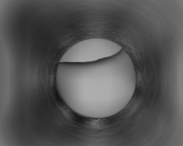 X0000088140130200705141039
