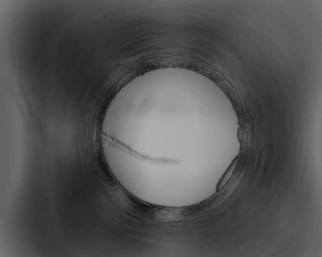 X0000088140138200705141039