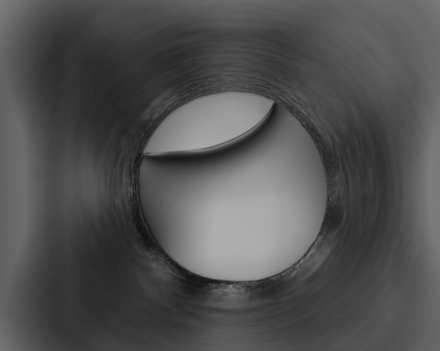 X0000088140140200705141039