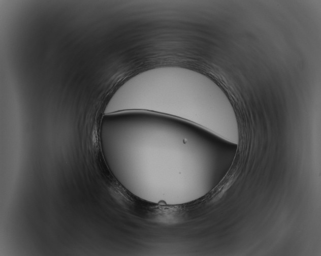 X0000088140143200705141039