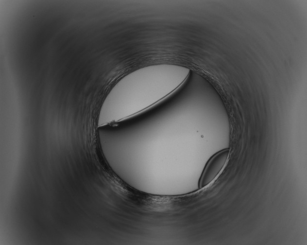 X0000088140144200705141039