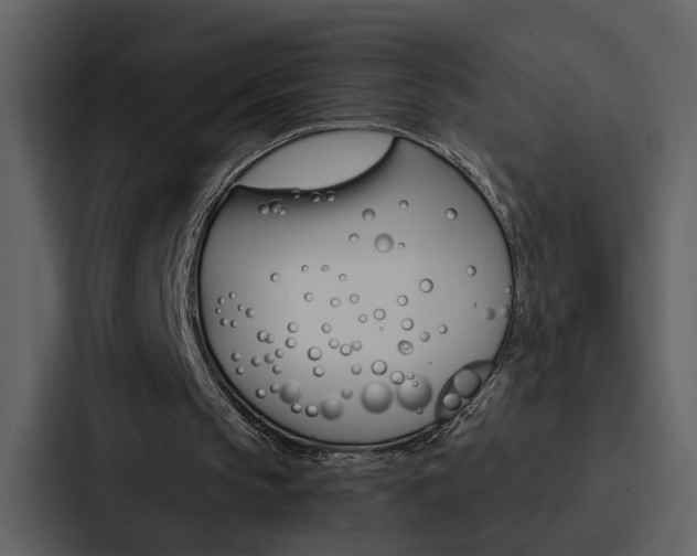 X0000088140145200705141038