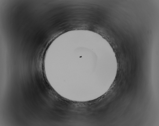 X0000088140146200705141038