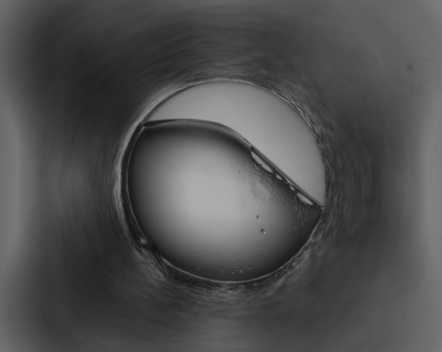 X0000088140148200705141038