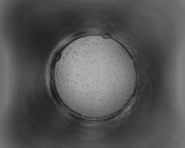 X0000088140149200705141038