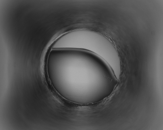 X0000088140150200705141038