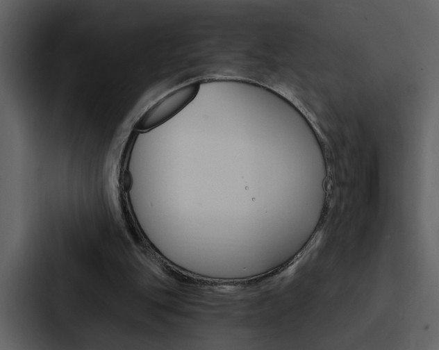 X0000088140151200705141038