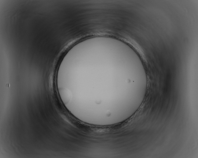 X0000088140155200705141038