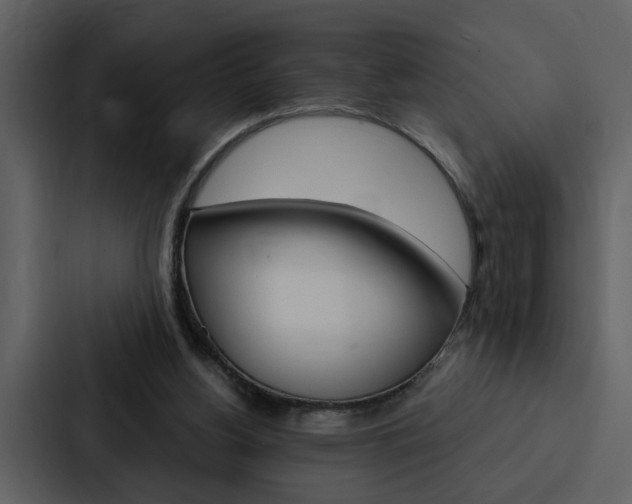X0000088140156200705141038