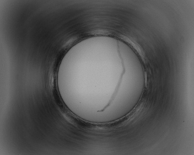 X0000088140157200705141038