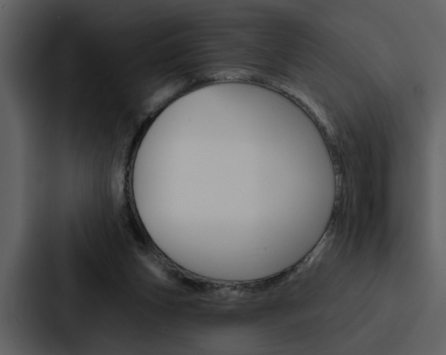 X0000088140159200705141038