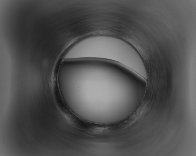 X0000088140160200705141038