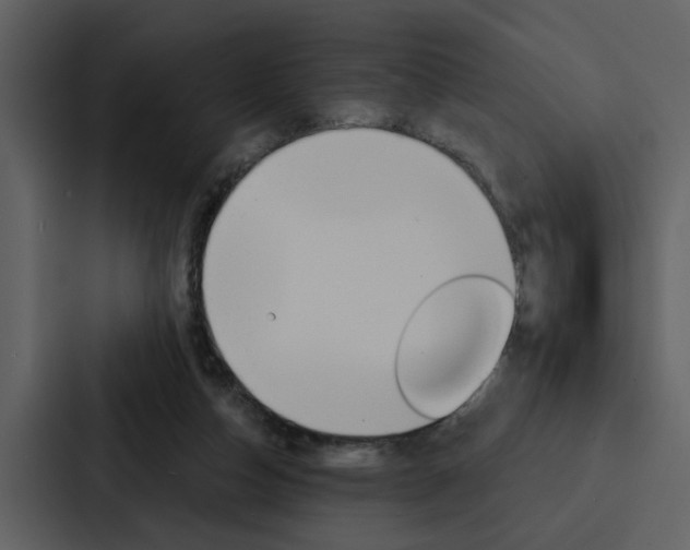 X0000088140162200705141038