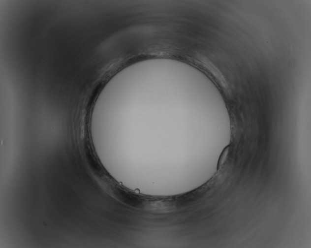 X0000088140163200705141038
