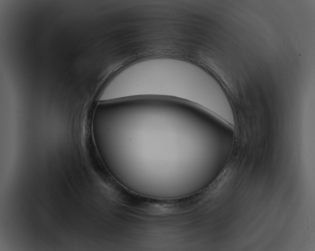 X0000088140164200705141038
